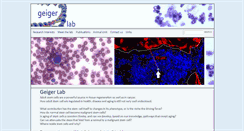 Desktop Screenshot of geigerlab.com